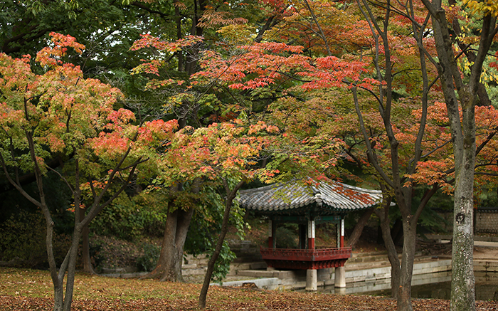 주베트남한국문화원